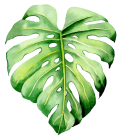Palm Invitation